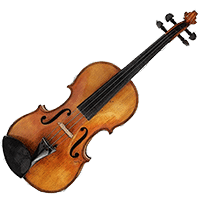 Violin